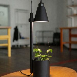 Modern Saksılı Masa Lambası
